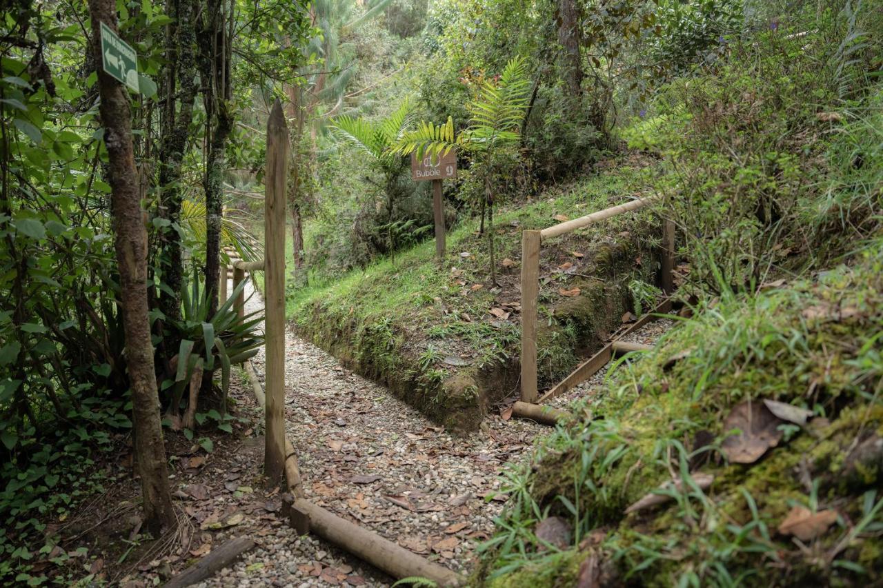 Bubblesky Glamping 40 Min From Medellin El Retiro (Antioquia) Exterior foto
