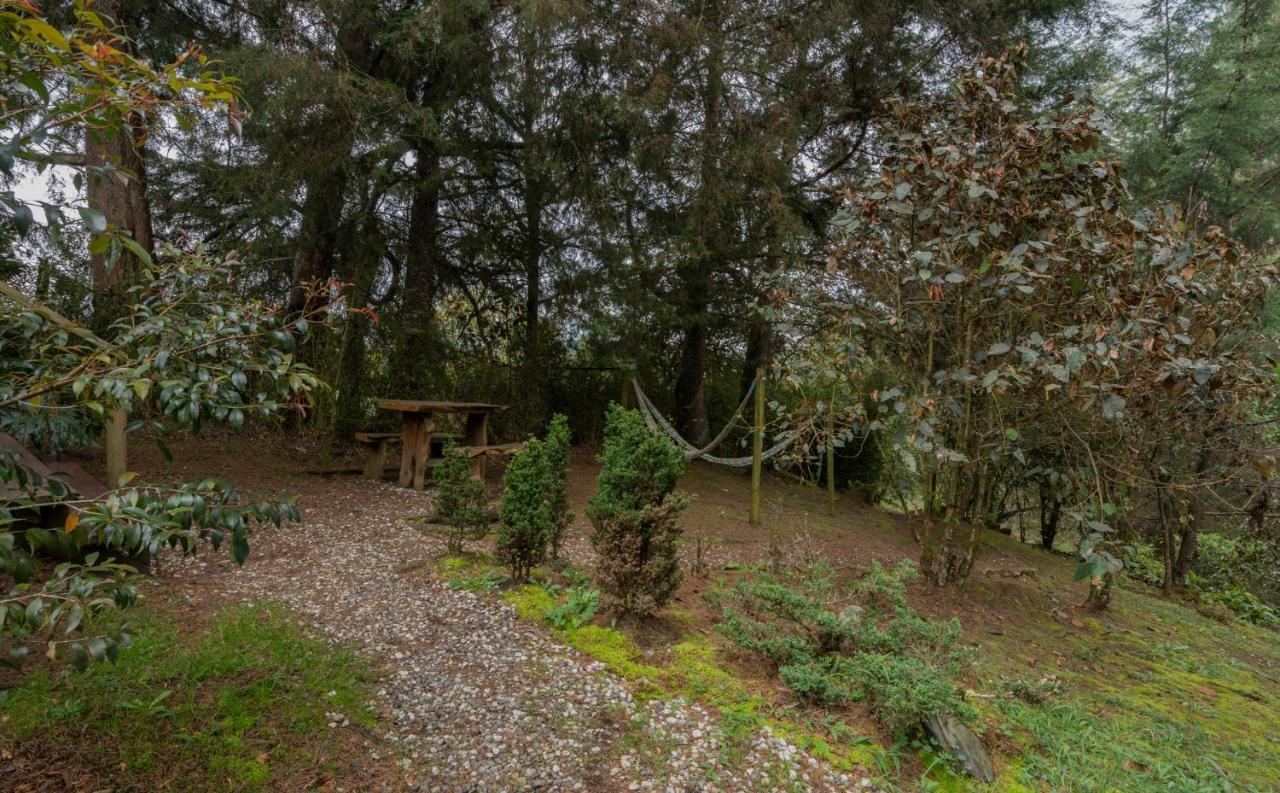 Bubblesky Glamping 40 Min From Medellin El Retiro (Antioquia) Exterior foto