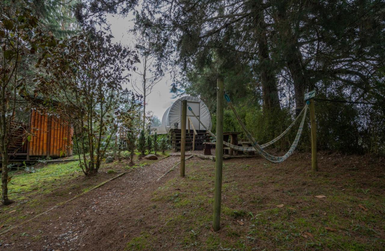Bubblesky Glamping 40 Min From Medellin El Retiro (Antioquia) Exterior foto